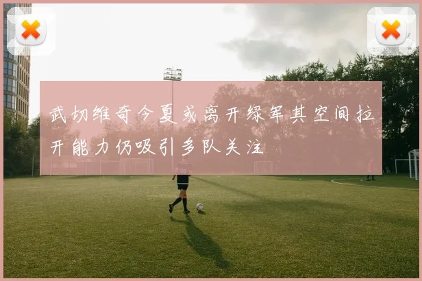 武切维奇今夏或离开绿军其空间拉开能力仍吸引多队关注