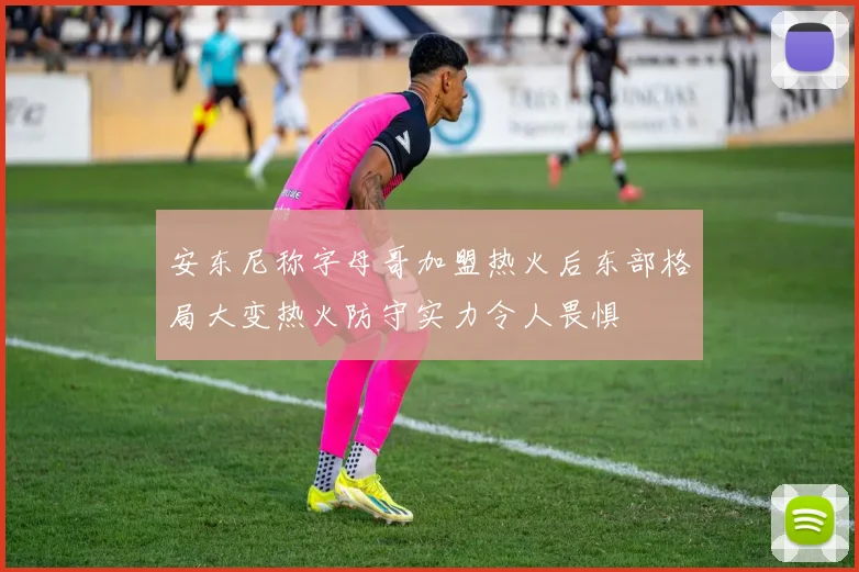 安东尼称字母哥加盟热火后东部格局大变热火防守实力令人畏惧
